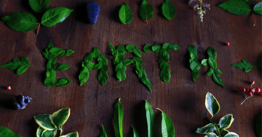 It’s Earth Day Every day at Nonie of Beverly Hills
