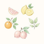 Citrus Mix of Lemon
