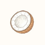 Coconut Emulsifier