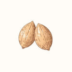Almond Oil