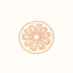 Grapefruit Seed Extract