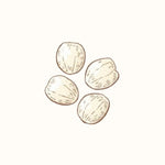 Wheat Germ Oil